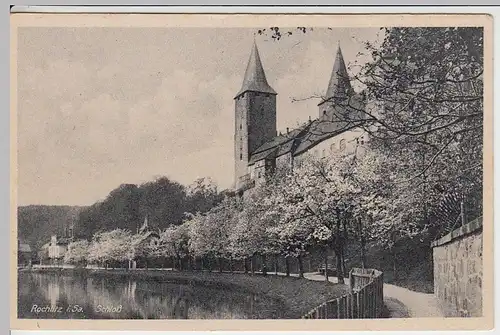 (41014) AK Rochlitz, Schloss, vor 1945