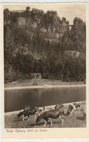 (41012) Foto AK Sächsische Schweiz, Blick zur Bastei 1930/40er