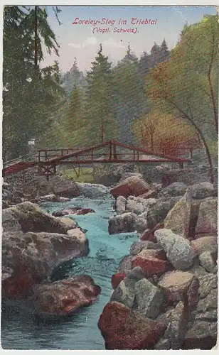 (40131) AK Loreley-Steg im Triebtal, Vogtländische Schweiz 1929