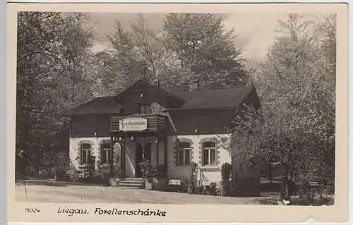 (39746) Foto AK Liegau, Forellenschänke 1957