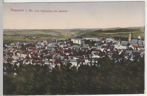 (3935) AK Roßwein, Rathaus, Kirche, Panorama, vor 1945