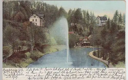 (34859) AK Buchholz, Waldschlösschen, 1903