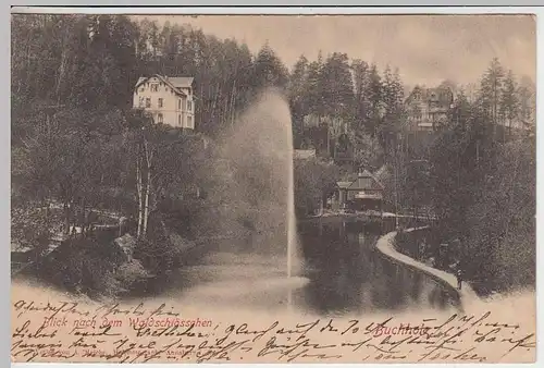 (34830) AK Buchholz, Blick n.d. Waldschlösschen, 1903