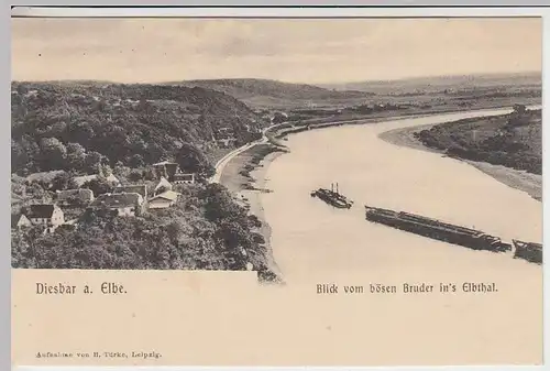 (34704) AK Diesbar a. Elbe, Blick vom bösen Bruder, vor 1905