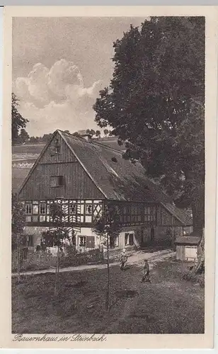 (33261) AK Steinbach (Sachsen), Bauernhaus, vor 1945