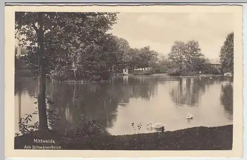 (32887) Foto AK Mittweida, Am Schwanenteich, 1941