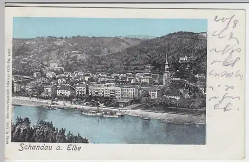 (31255) AK Schandau a. Elbe, Panorama, 1901