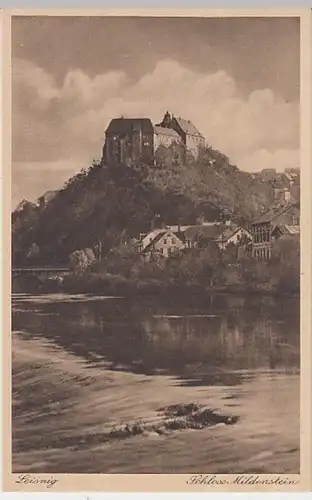 (23489) AK Leisnig, Schloss Mildenstein, vor 1945