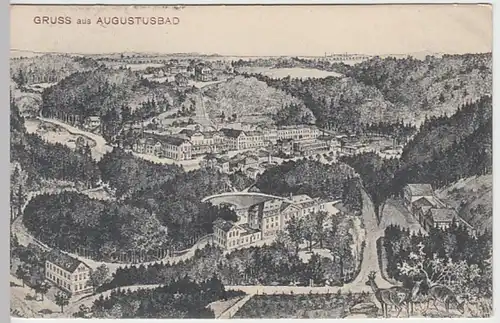 (21513) Künstler AK Gruß aus Augustusbad, Panorama 1907