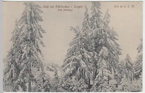 (20098) AK Schellerhau, Erzgeb., Blick vom Wald 1915