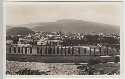 (19712) Foto AK Rochlitz, Panorama, vor 1945