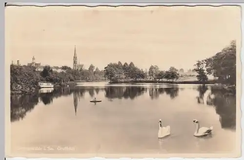 (16563) Foto AK Geringswalde, Großteich, vor 1945