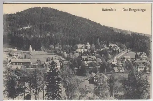 (16154) AK Bärenfels, Altenberg, Erzgeb., Panorama, vor 1945