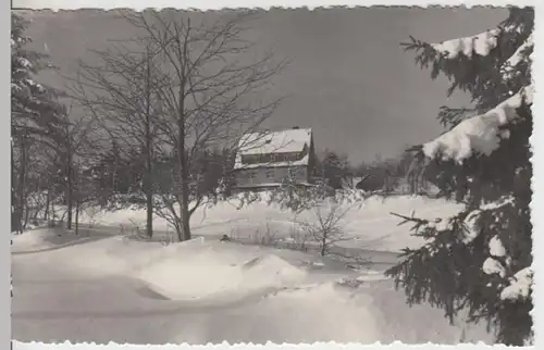 (15909) Foto AK Schellerhau, Erzgeb., Ortsansicht, nach 1945