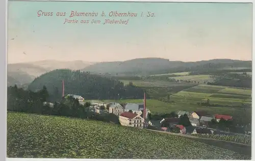 (115909) AK Blumenau b. Olbernhau, Partie a.d. Niederdorf 1910