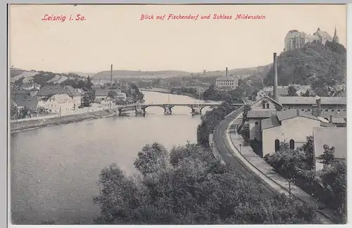 (115907) AK Leisnig, Blick a. Fischendorf u. Schloss Mildenstein 1916