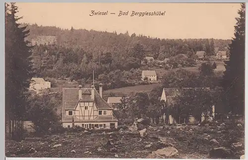 (115895) AK Zwiesel, Bad Berggießhübel 1917