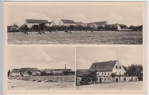 (115053) AK Meusegast ü. Heidenau, Totale, Rittergut u. Gasthaus 1920/30er