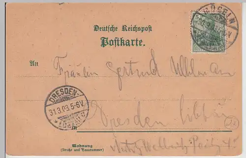 (115045) Künstler AK Gruß aus Mügeln, Sachsen, Schule, Albertstraße 1903