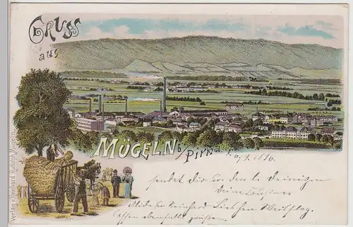 (115043) Künstler AK Gruß aus Mügeln, Sachsen, Panorama, Getreideernte 1896