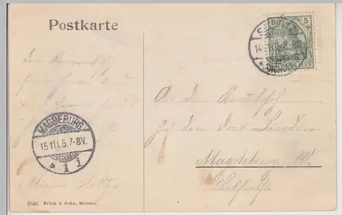 (114908) AK Sebnitz, Totalansicht 1905