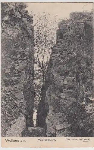 (114895) AK Wolkenstein, Wolfschlucht 1911