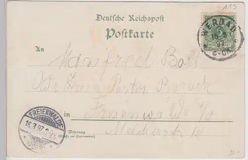 (114840) AK Gruss aus Reichenbach i.V., Totale, Restaurant, Brücken, Litho 1897