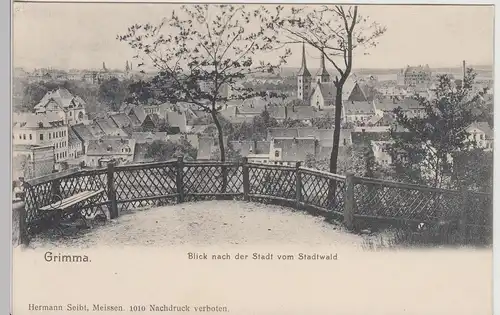 (114498) AK Grimma, Blick vom Stadtwald, um 1905