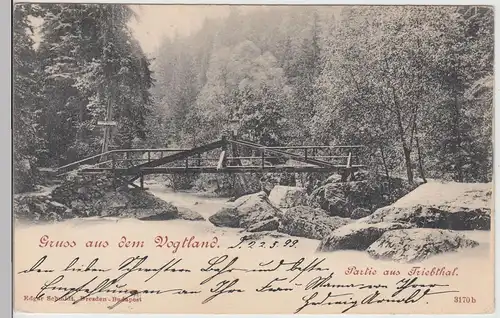 (113659) AK Gruß aus dem Vogtland, Triebtal, Holzbrücke 1899