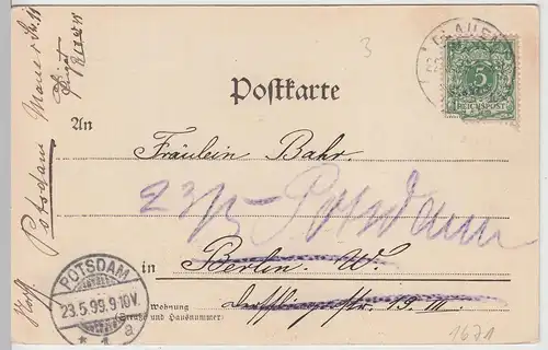 (113659) AK Gruß aus dem Vogtland, Triebtal, Holzbrücke 1899