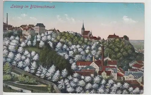 (113509) AK Leisnig im Blütenschmuck 1918
