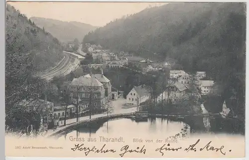 (113408) AK Gruß aus Tharandt, Blick von der Ruine 1904