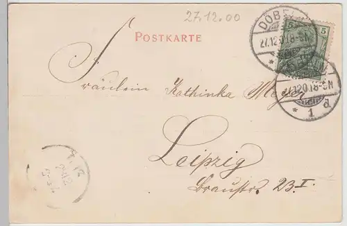 (113089) AK Döbeln, Wettinplatz 1900