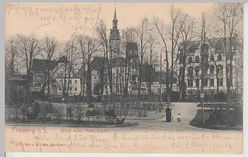(112670) AK Freiberg, Sachsen, Blick vom Albertpark, Kirche St. Petri 1904