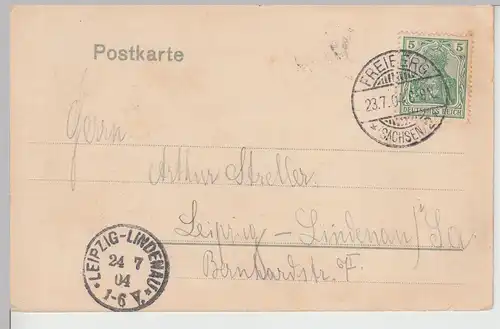 (112670) AK Freiberg, Sachsen, Blick vom Albertpark, Kirche St. Petri 1904