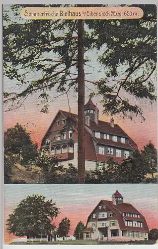 (112594) AK Bühlhaus, Bielhaus, Eibenstock 1910er