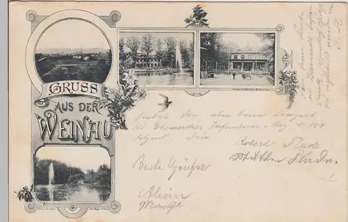 (112506) AK Gruß aus der Weinau, Zittau 1897
