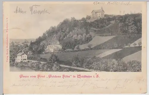 (112442) AK Gruß vom Hotel Goldene Höhe, Waldheim, Sachsen 1902