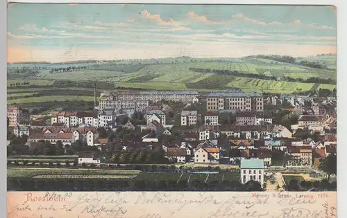 (112438) AK Roßwein, Panorama 1903