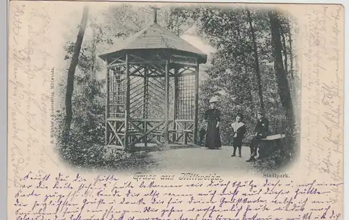 (112435) AK Gruß aus Mittweida, Stadtpark, Meißner Hütte 1899