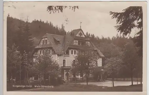 (112175) Foto AK Erzgebirgsheim Wald Bärenburg 1925