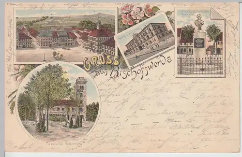 (112070) AK Gruß aus Bischofswerda, Waldvilla Butterburg, Hermann Stift 1897