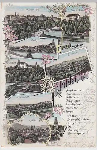 (112036) AK Gruß aus dem Muldental, Wolkenburg, Waldenburg, Penig 1898
