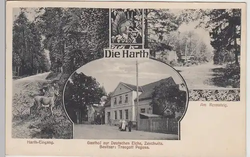 (111832) AK Die Harth, Gasthof zur Deutschen Eiche, Zeschwitz, Am Rennsteig 1914