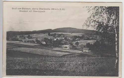 (111740) AK Gruß vom Bieleboh, Oberlausitz, Oberoppach, Eichen, Oppach, vor 1945