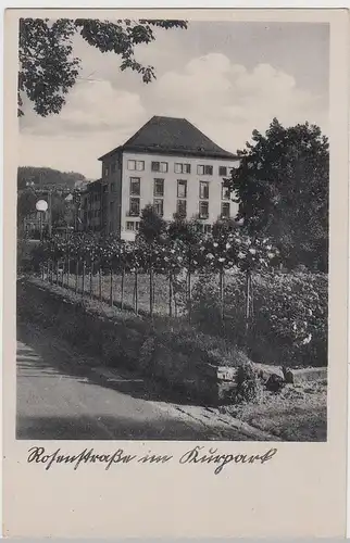 (111394) AK Bad Oberschlema, Rosenstraße im Kurpark vor 1945