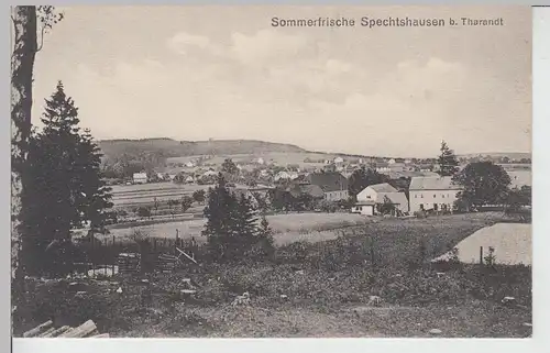 (110913) AK Spechtshausen, Panorama 1913