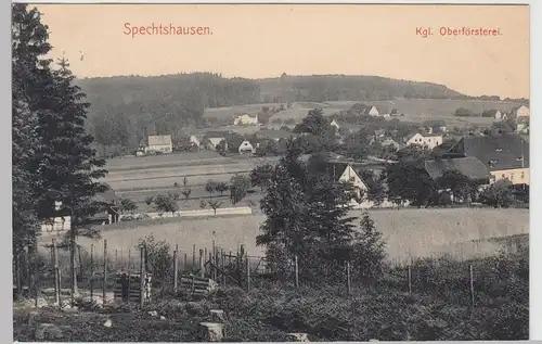 (110912) AK Spechtshausen, Kgl. Oberförsterei 1912