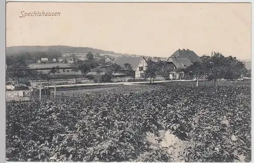 (110911) AK Spechtshausen, Panorama 1908