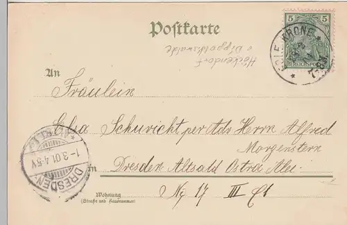 (110902) AK Gruss aus Höckendorf bei Edle Krone, 1901